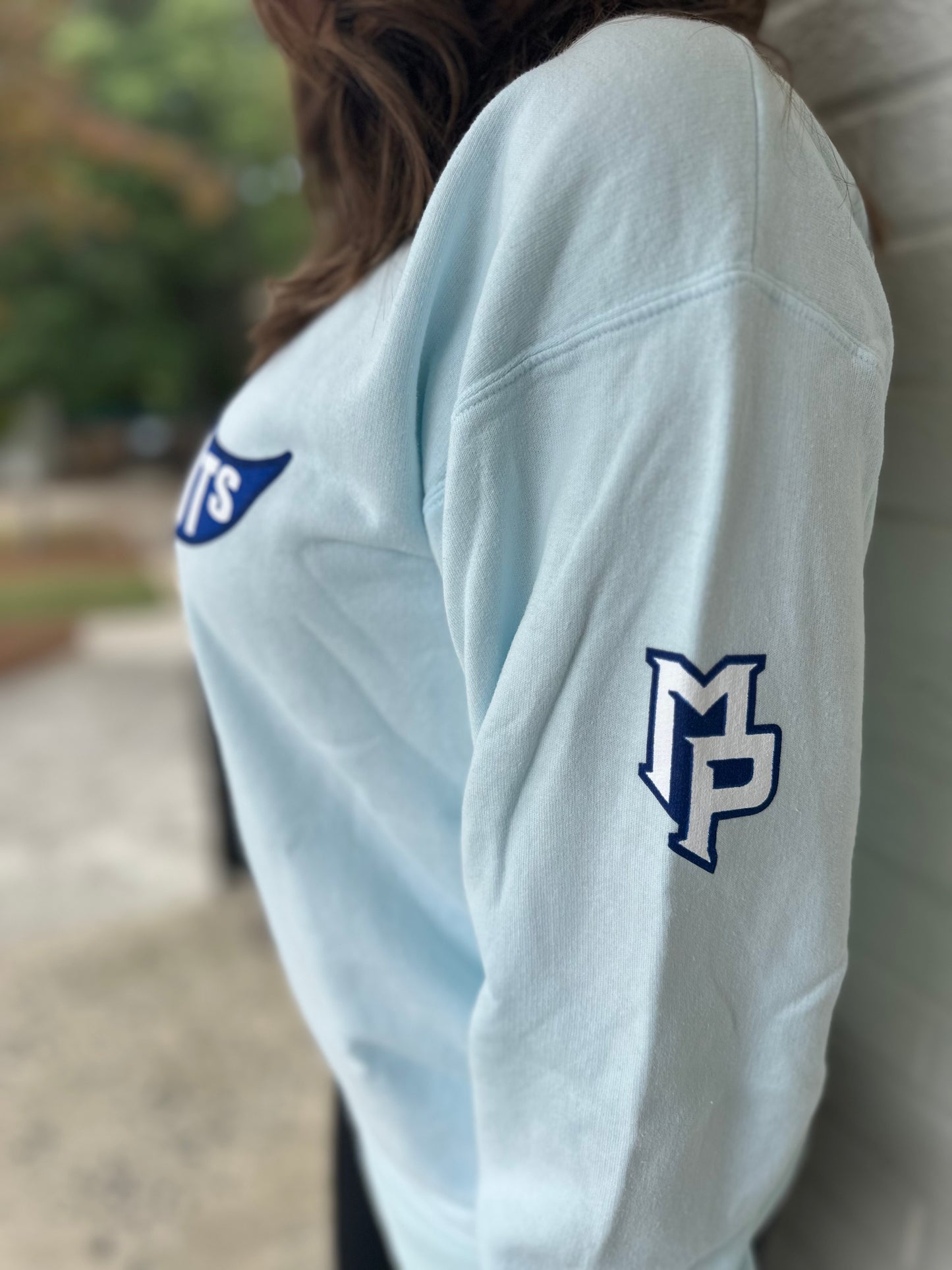 Adult Pennant Flag Crewneck