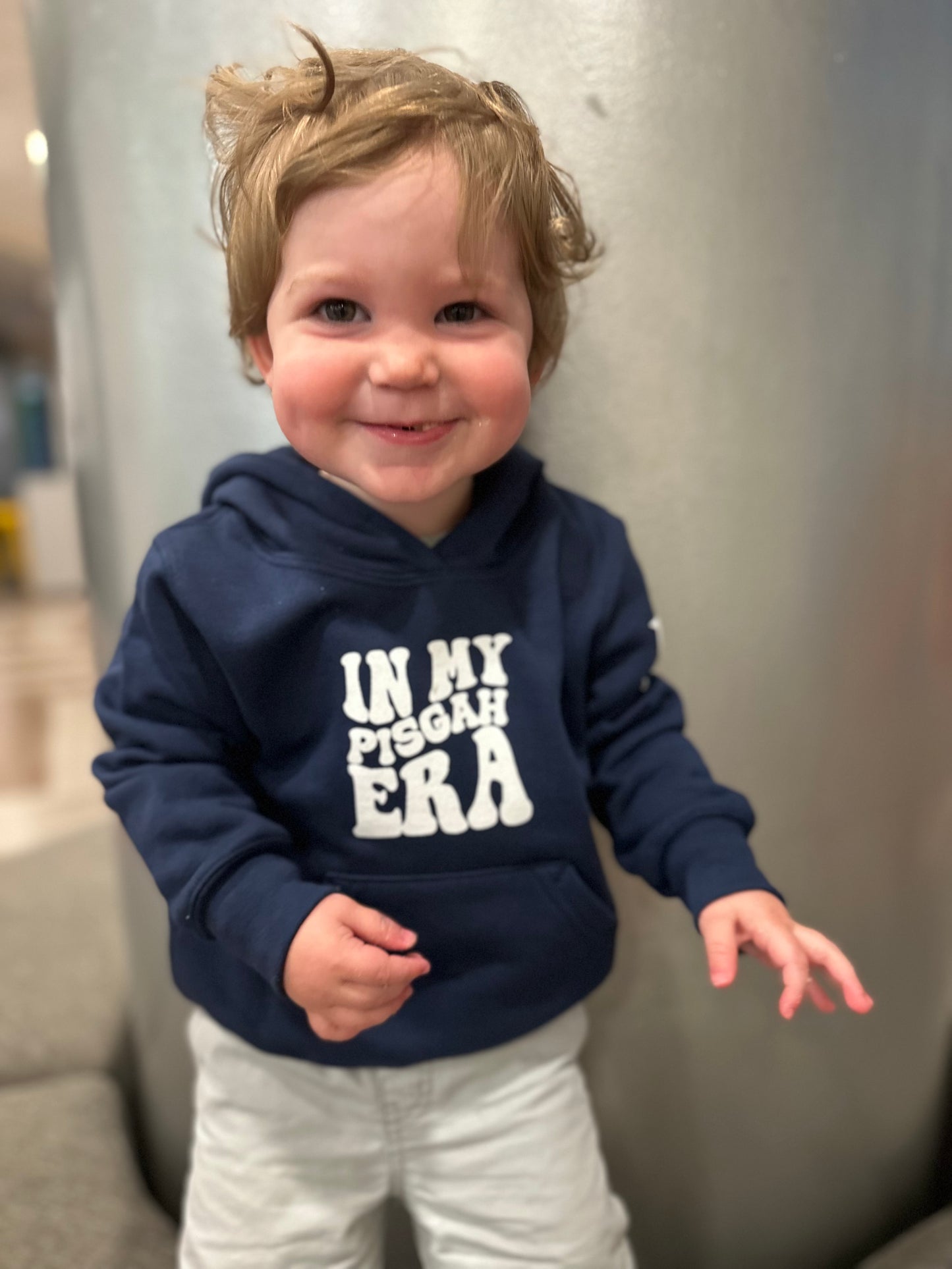 Toddler In My Pisgah Era Hoodie